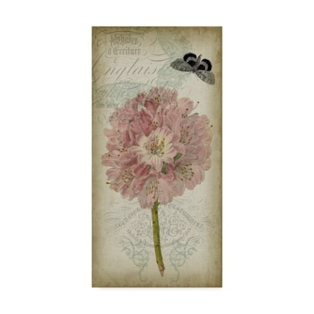 Jennifer Goldberger 'Cartouche And Floral Ii' Canvas Art,24x47